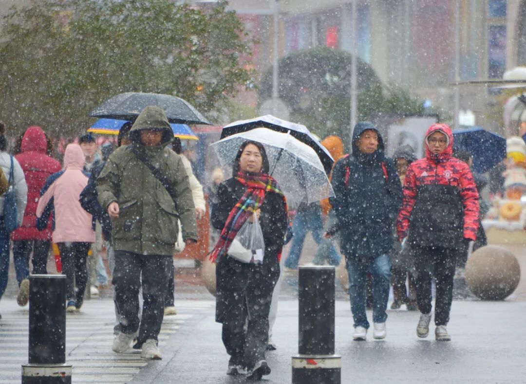 上海全城追雪！朋友圈和校园里彻底沸腾！零下6℃要来了，赏雪打卡还有机会