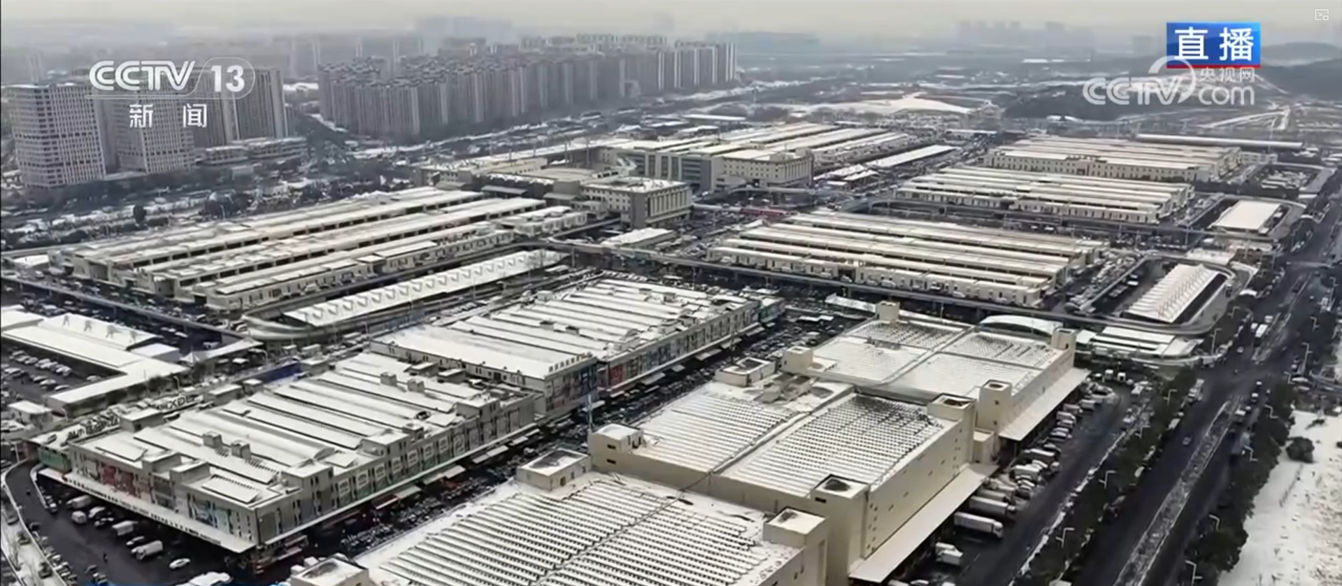 集市人气旺、年宵花争艳 “年货消费”活力充沛激发经济增长新动能