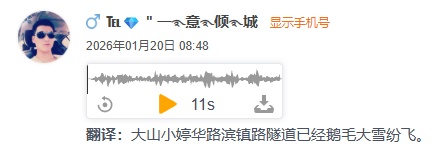 刚刚等到了！西湖下雪了！越下越大！还在继续