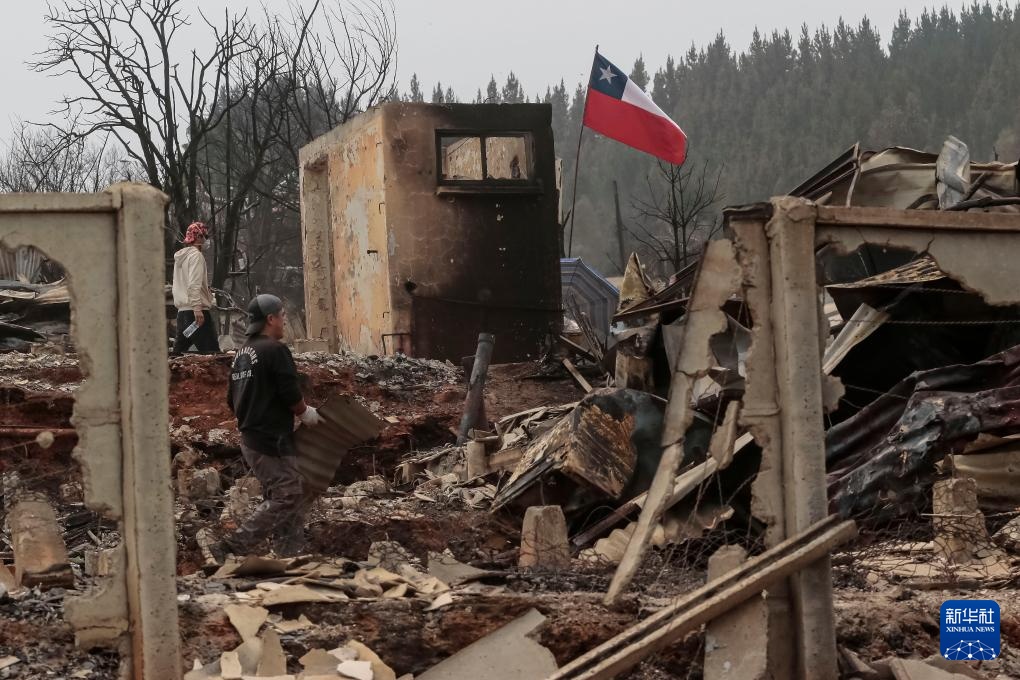 智利：森林火灾过后的遍地焦土