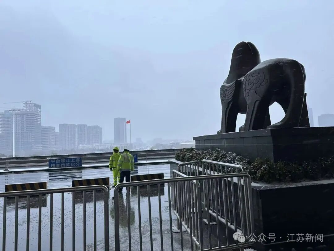 江苏，下了一夜的雪！