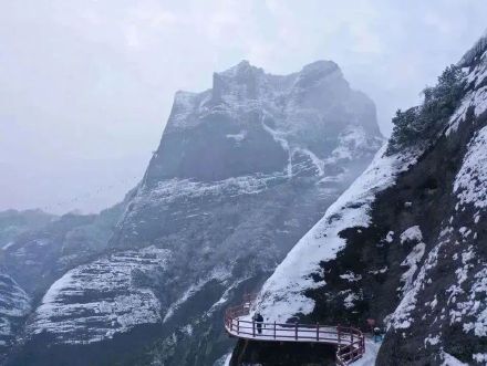 降温预警！桂林资源县雾凇盛宴即将来袭，这份观赏攻略请收好