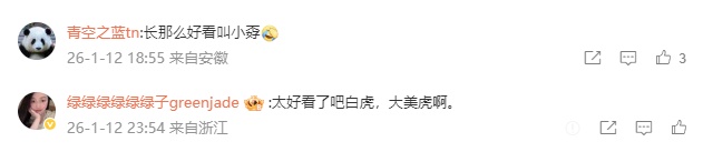 青岛动物园白虎“小孬”凭颜值火出圈