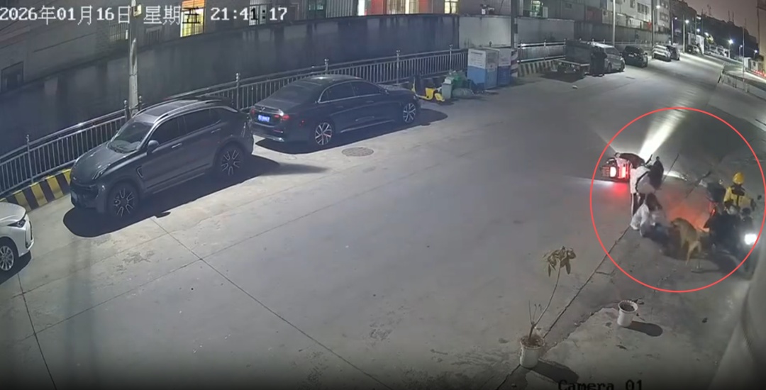 恶犬追咬两女生，外卖小哥和路人挺身相救，汕头通报：肇事犬只主人已被拘留