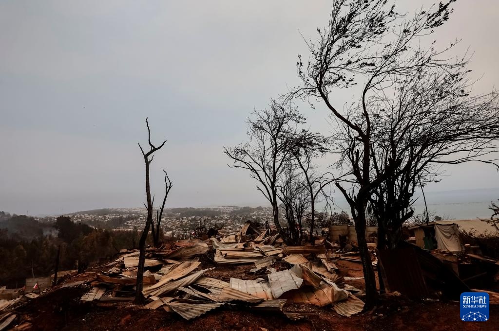 智利：森林火灾过后的遍地焦土