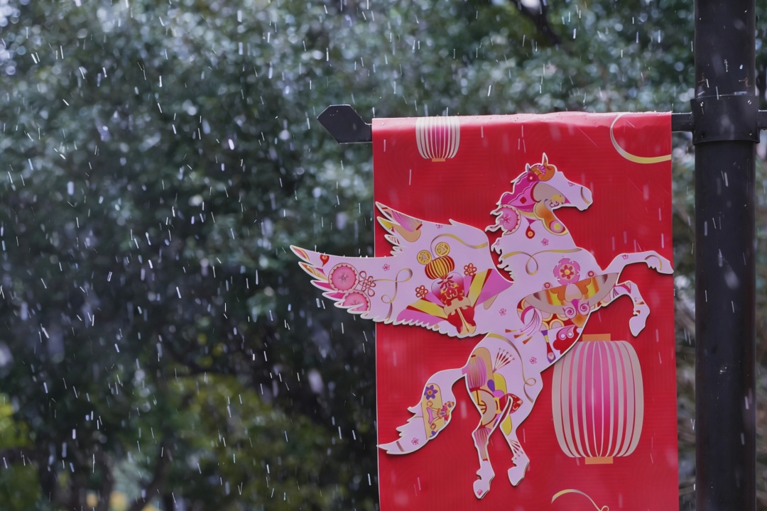 上海全城追雪！朋友圈和校园里彻底沸腾！零下6℃要来了，赏雪打卡还有机会