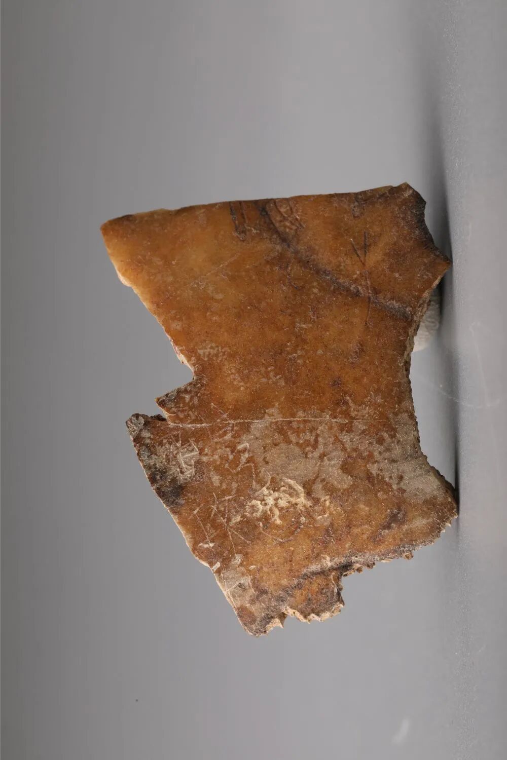 考古新发现佐证西岐在周原