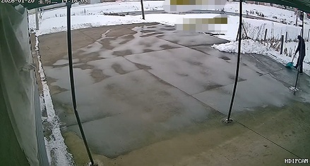 远亲不如近邻！女子在外打工想通过监控看看老家雪景，结果发现邻居两位老人帮忙扫雪