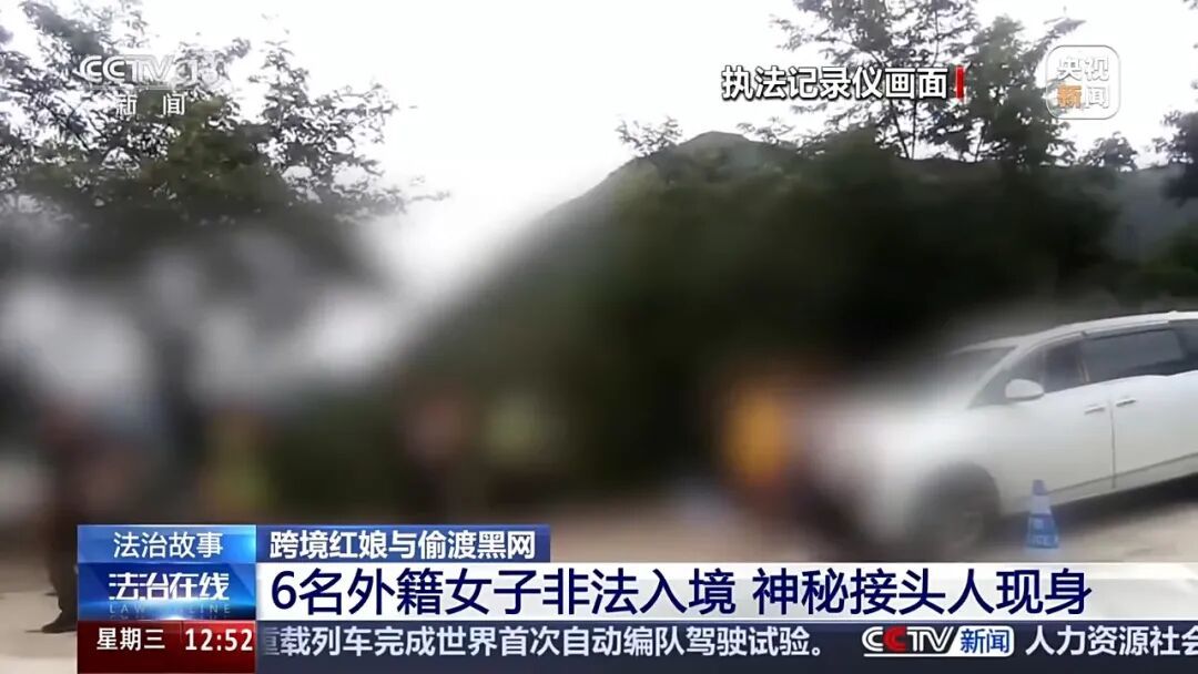 6名外籍女子非法入境，跨国婚介竟是偷渡黑产，案件覆盖多省