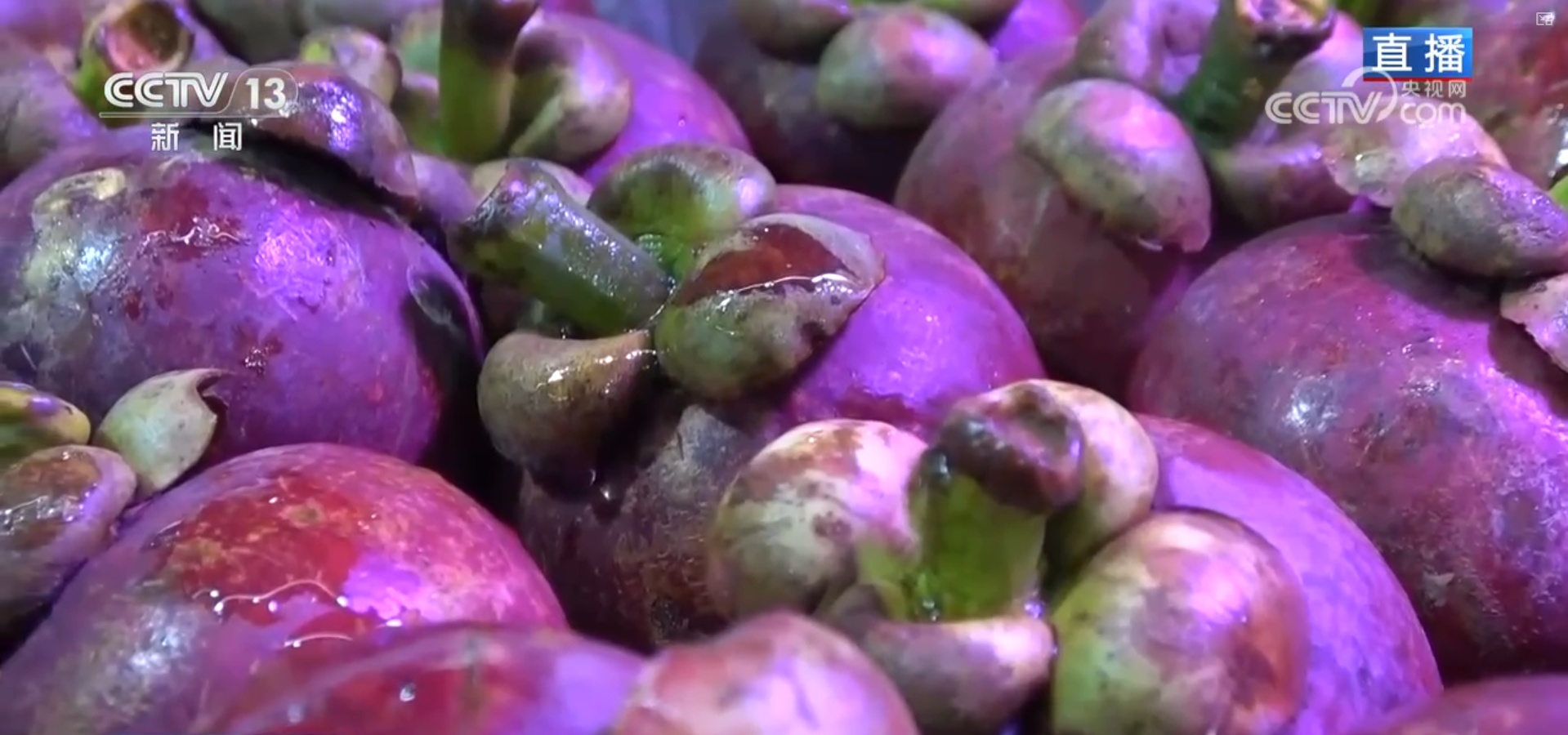 “果盘子”满“菜篮子”丰 高效物流为节前市场注入“鲜”力量