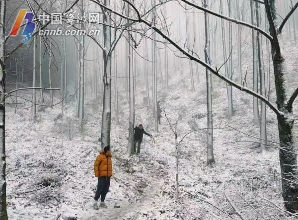 市区7年未现有效积雪？气象专家解密宁波“赏雪难”
