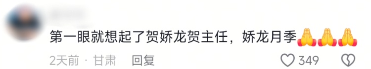 新品月季提名“娇龙”，回应来了！