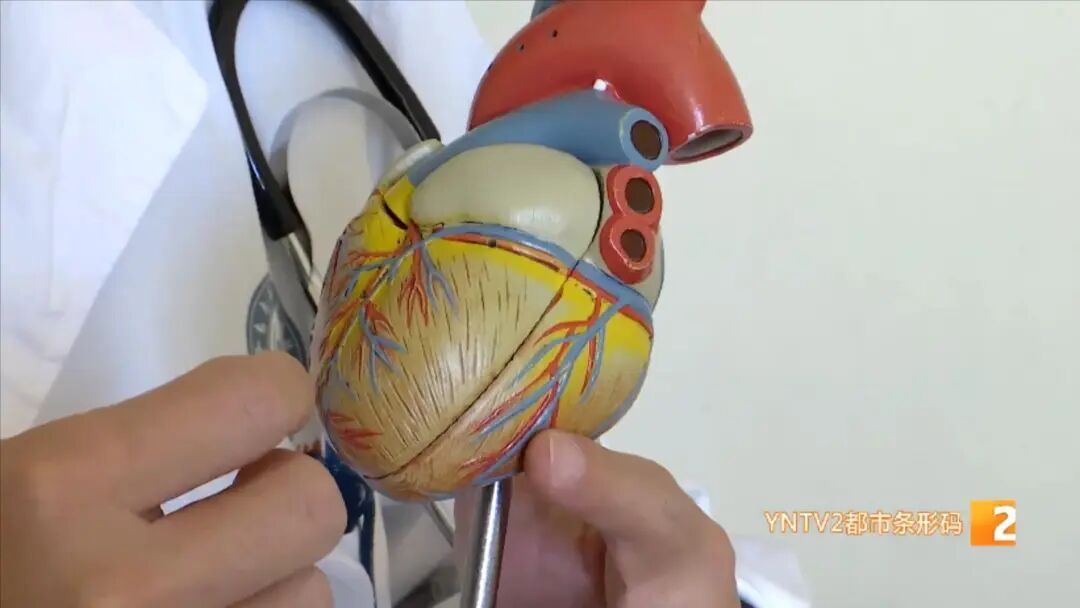 哭着找妈妈后，小女孩突然晕倒身亡！医生：警惕心碎综合征