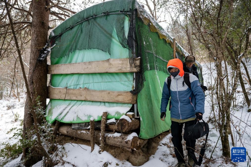 湖北神农架：林区观鸟引游人