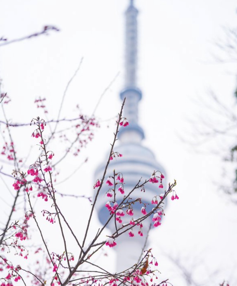 新一轮雨雪即将抵达武汉！很多人拍到这一奇观