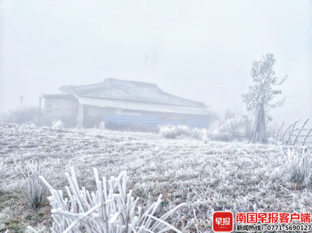 低至零下5.9℃！广东清远一景区“冷出”雾凇