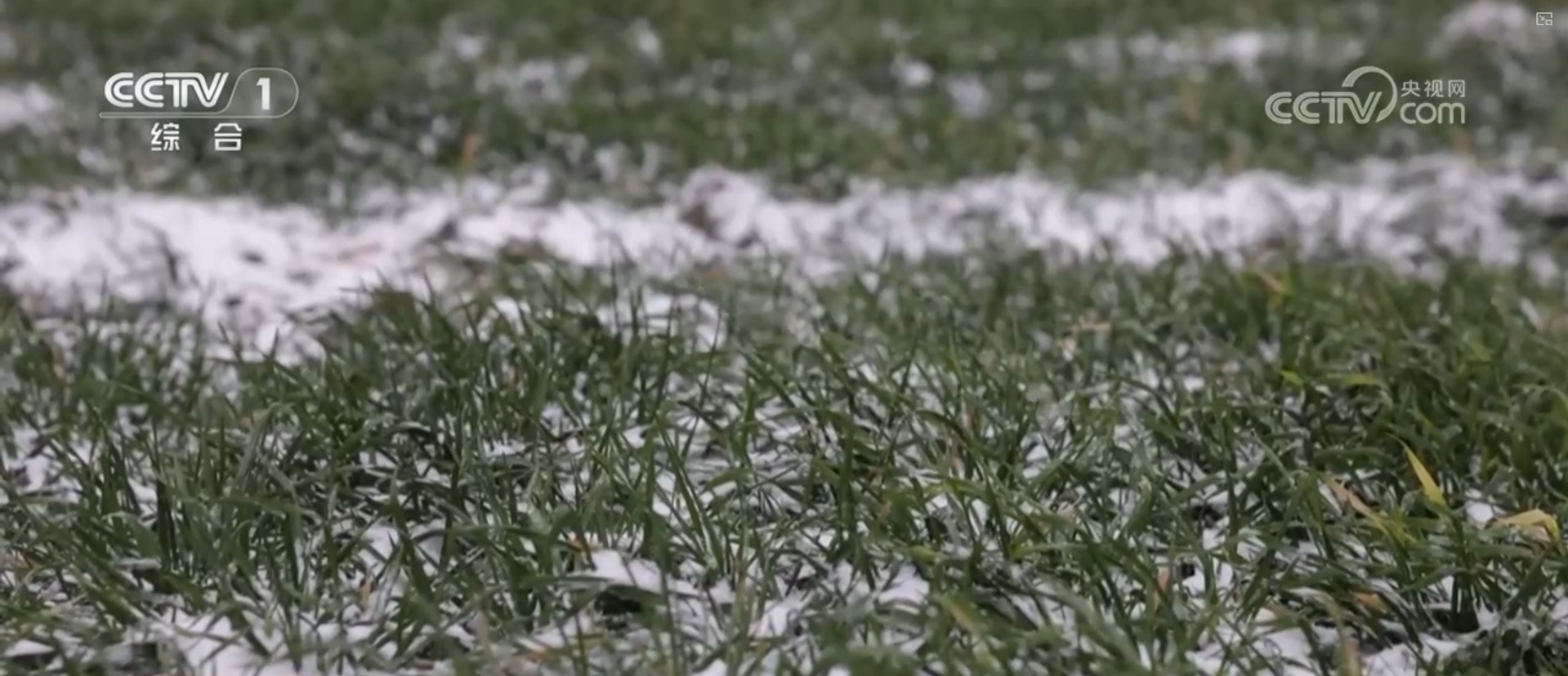 抗风雪、战寒潮、保畅通、护民生 各地各部门积极应对雨雪冰冻天气