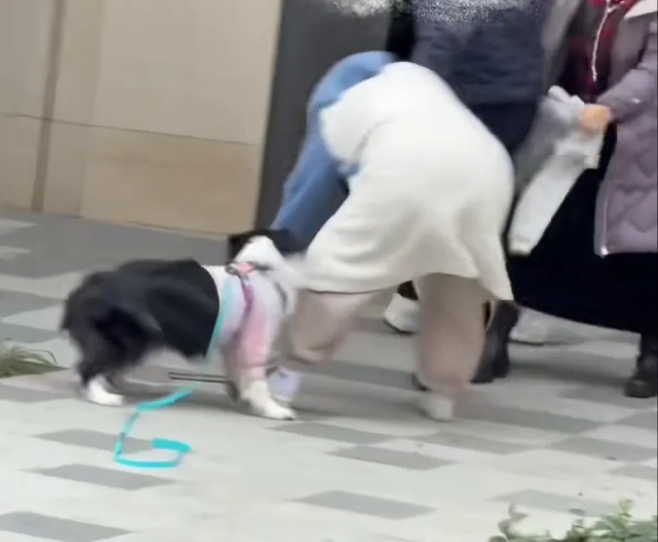 上海警方就“多人发生肢体冲突”通报：已行政立案，对3人开展伤情鉴定！事发经过曝光