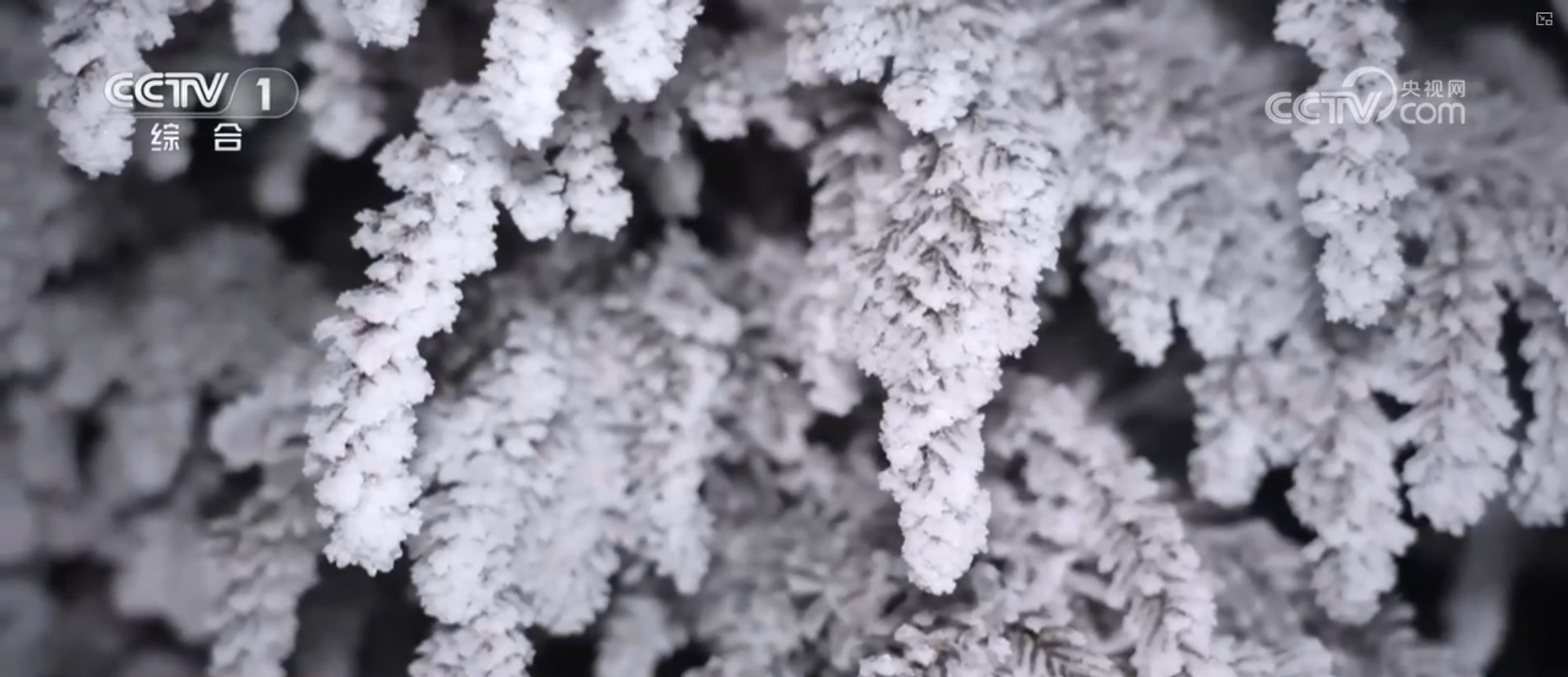 抗风雪、战寒潮、保畅通、护民生 各地各部门积极应对雨雪冰冻天气