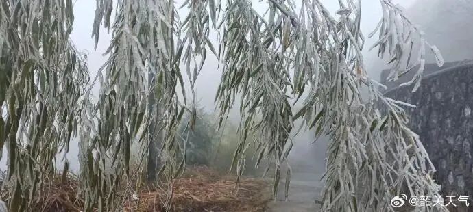 广州开启速冻模式,明早最冷!升温时间确定 广州开启速冻模式,明早最冷!升温时间确定