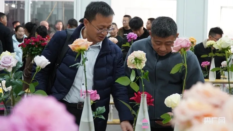 “这朵花，就叫‘娇龙’吧！”