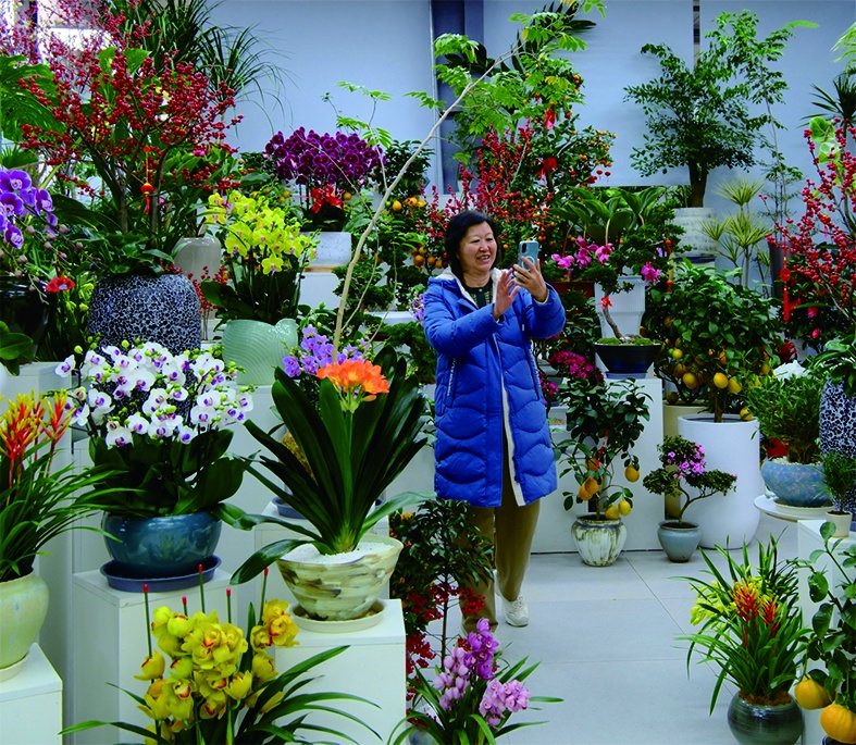 直击年末北京花市:定制“马元素”受追捧,年轻人偏爱“马卡龙” 直击年末北京花市:定制“马元素”受追捧,年轻人偏爱“马卡龙”