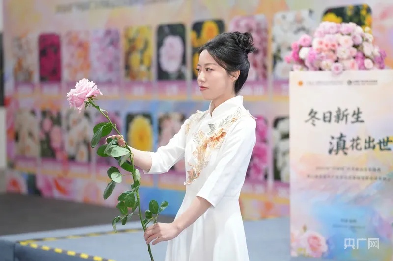 “这朵花，就叫‘娇龙’吧！”