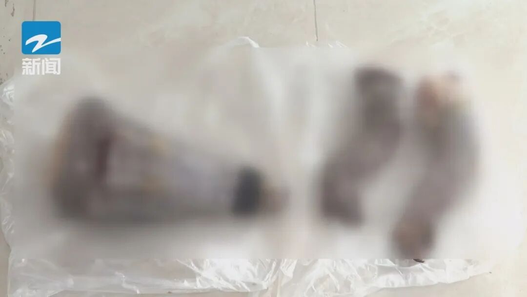 60元/斤起！年货上新，营养丰富…这种小众食材你敢吃吗？