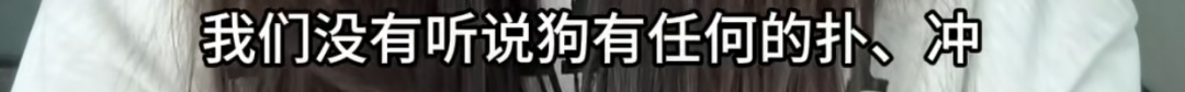 女子牵绳遛狗被围殴！热心邻居也被打伤！警方通报！