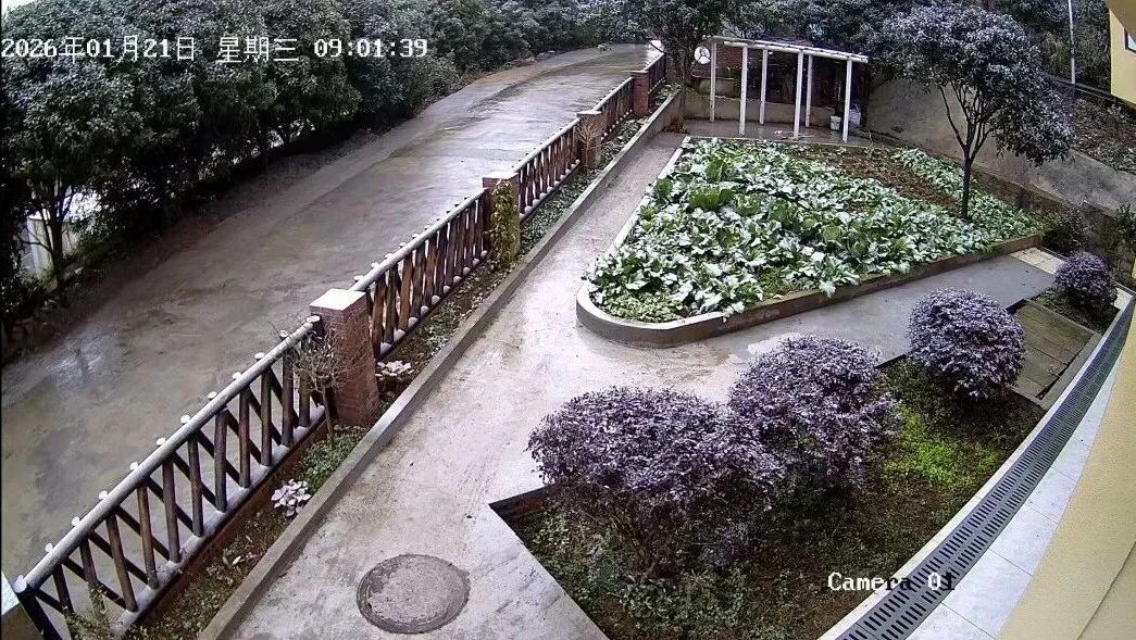 重庆中心城区飘雪了！看雪的小伙伴抓紧，寒潮即将结束，晴好天气将返场