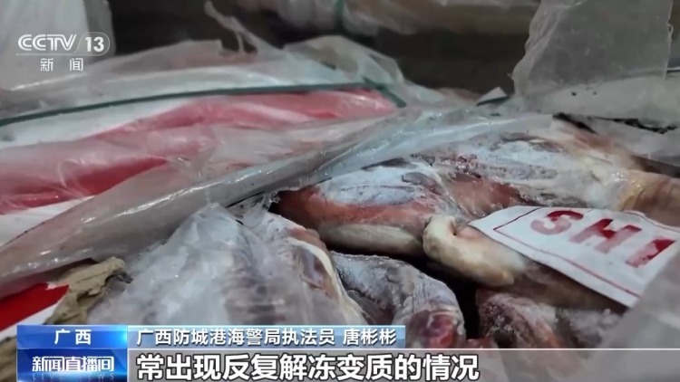 查获走私冻牛肚等20余吨！如何分辨走私冻肉 记住这几点