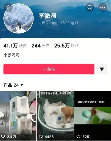 突然翻红！感动全网的狼王“格林”还活着吗？