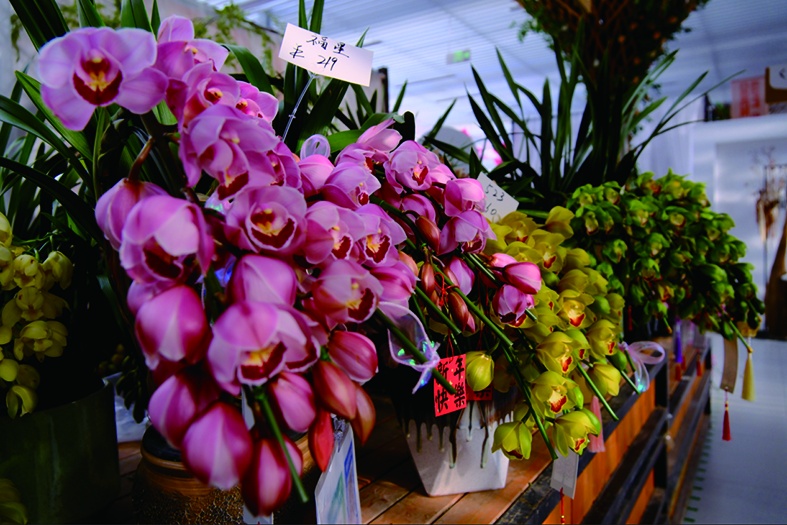 直击年末北京花市:定制“马元素”受追捧,年轻人偏爱“马卡龙” 直击年末北京花市:定制“马元素”受追捧,年轻人偏爱“马卡龙”