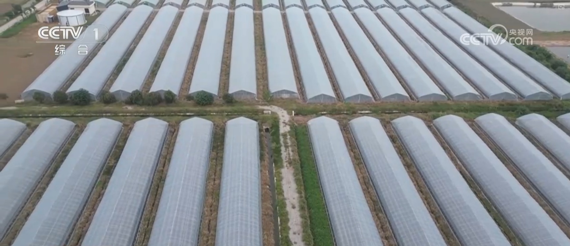 抗风雪、战寒潮、保畅通、护民生 各地各部门积极应对雨雪冰冻天气
