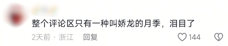 新品月季提名“娇龙”，回应来了！