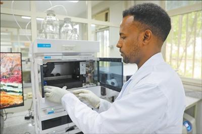 牛羊有了“身份证”，村民收入更稳定