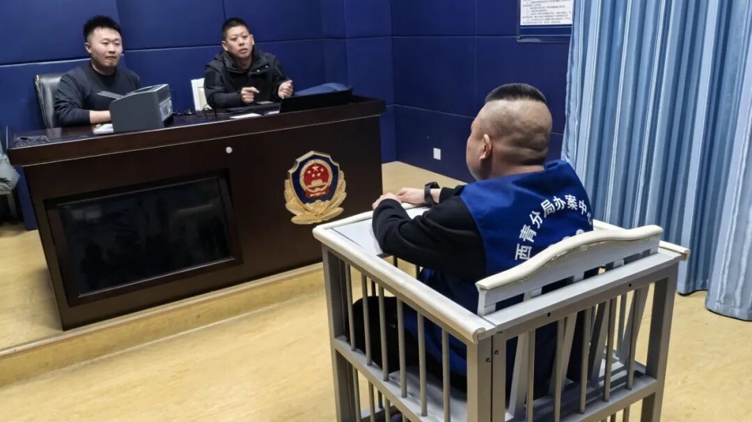 故意制造交通事故索财！“碰瓷”诈骗团伙被精准打掉