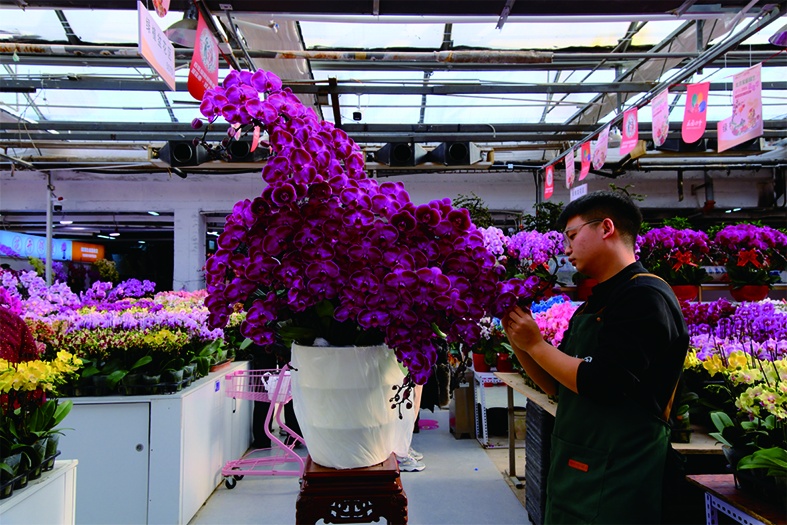 直击年末北京花市:定制“马元素”受追捧,年轻人偏爱“马卡龙” 直击年末北京花市:定制“马元素”受追捧,年轻人偏爱“马卡龙”