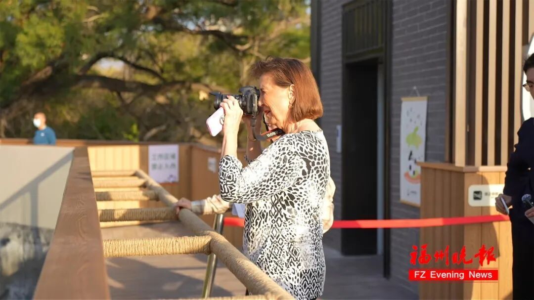 漂洋过海来看你!一位74岁美国老太的“熊猫情缘” 漂洋过海来看你!一位74岁美国老太的“熊猫情缘”