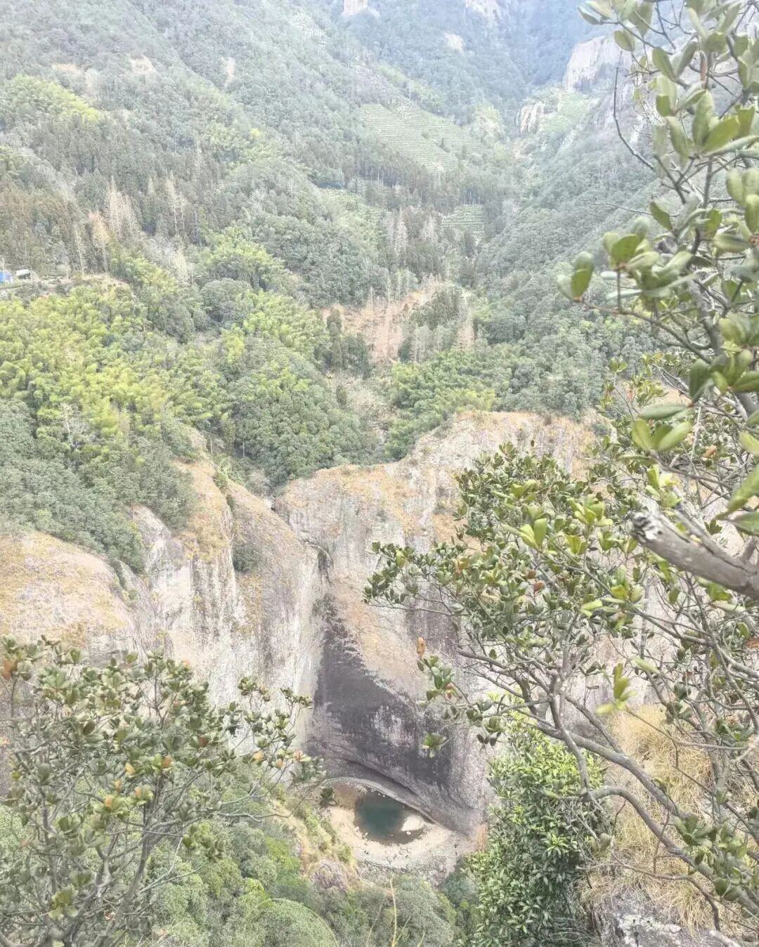 浙江一景区惊现奇观！导游：23年首次遇到