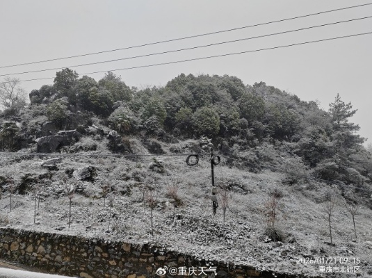 重庆中心城区飘雪了！看雪的小伙伴抓紧，寒潮即将结束，晴好天气将返场
