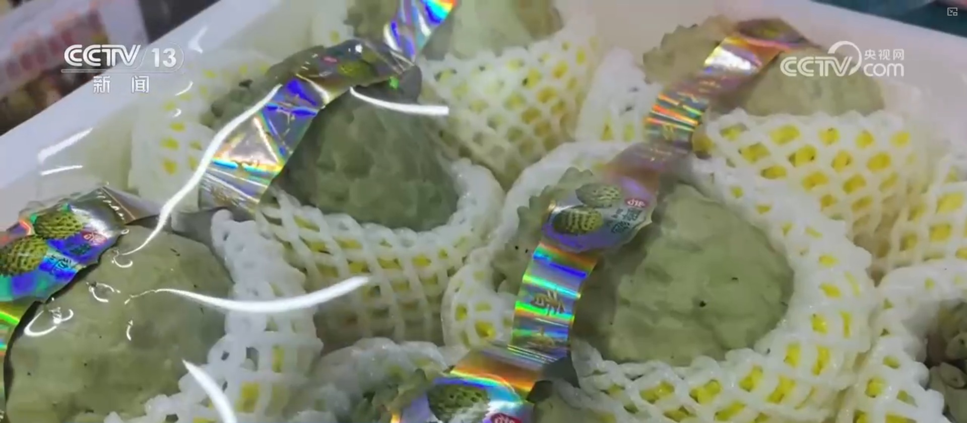 “果盘子”满“菜篮子”丰 高效物流为节前市场注入“鲜”力量