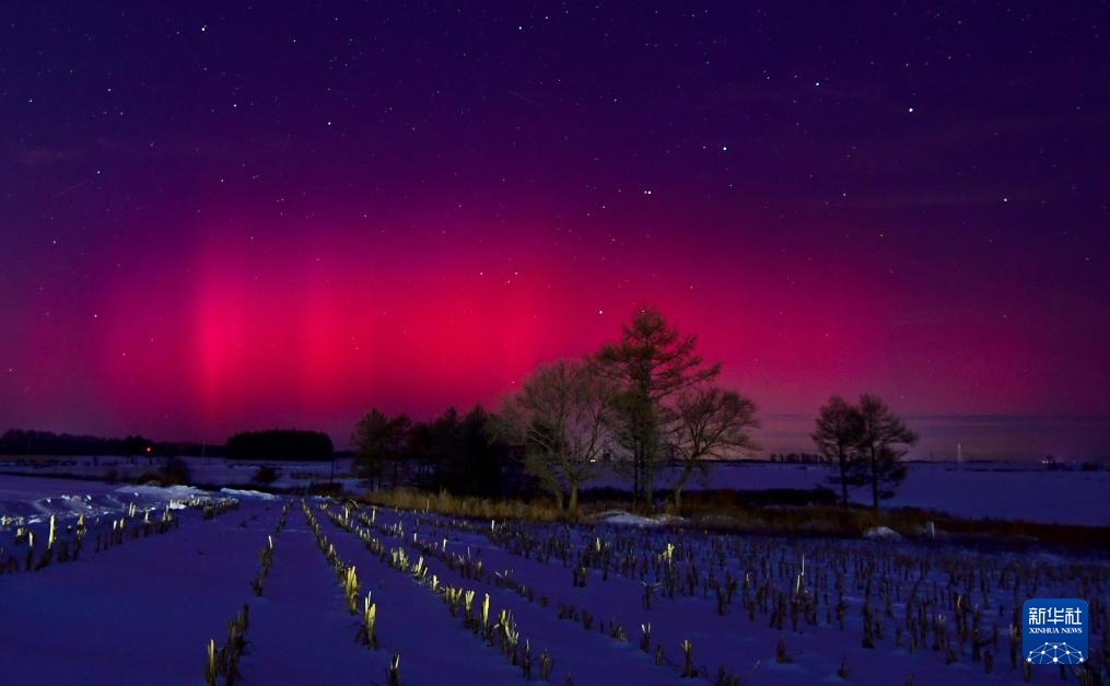 星空相册丨绚丽极光“光临”黑龙江