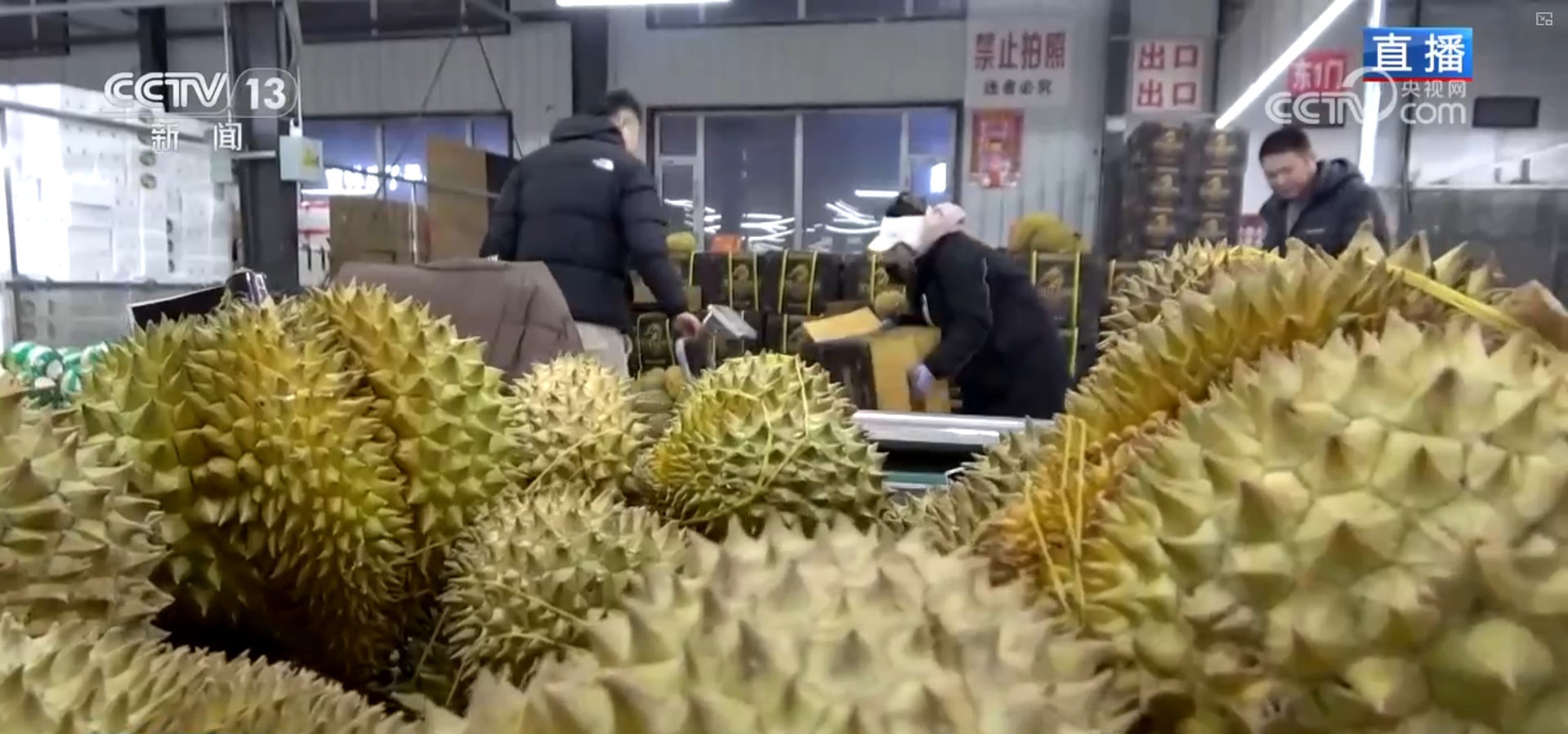 “果盘子”满“菜篮子”丰 高效物流为节前市场注入“鲜”力量