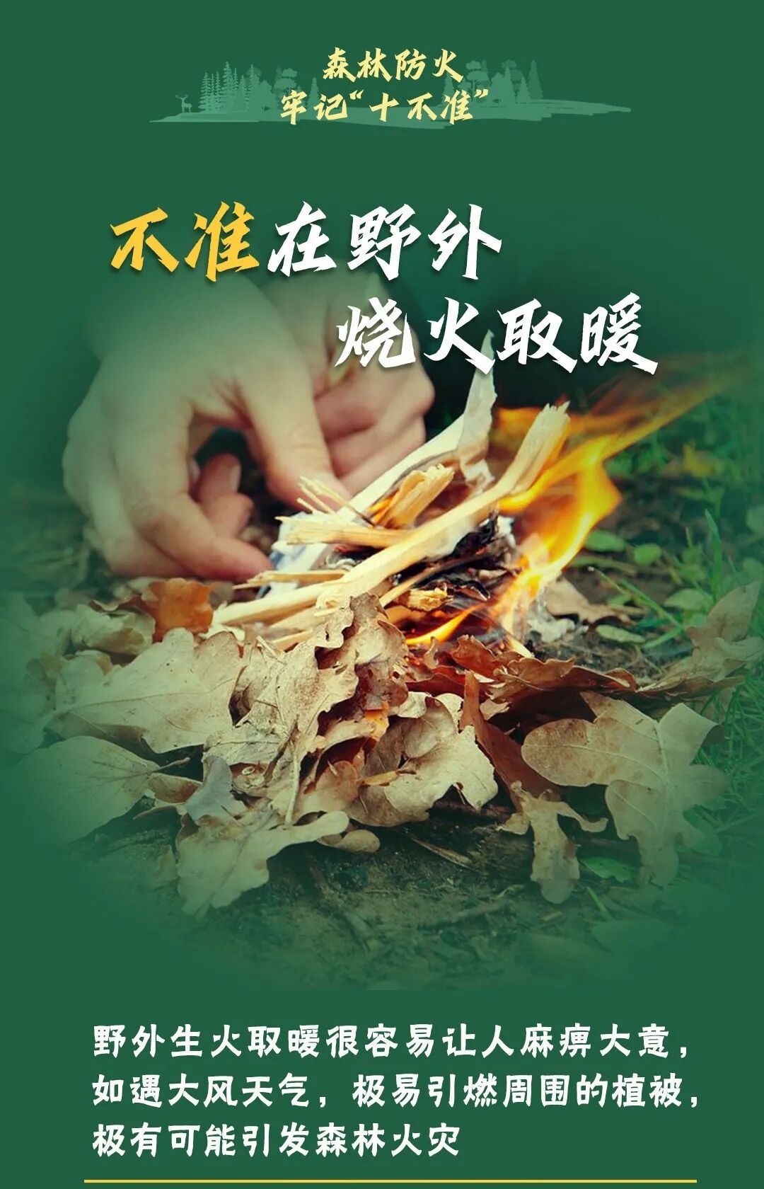 行拘十日！两人随手一个动作，被送进拘留所……森林防火，请谨记以下“十不准”