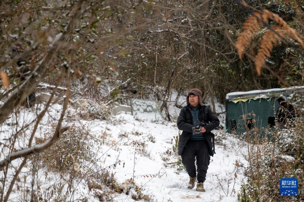 湖北神农架：林区观鸟引游人