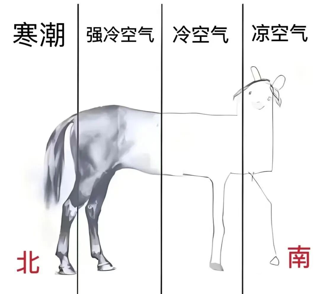 冻冰冰“杀”到！部分列车停运，出行注意！