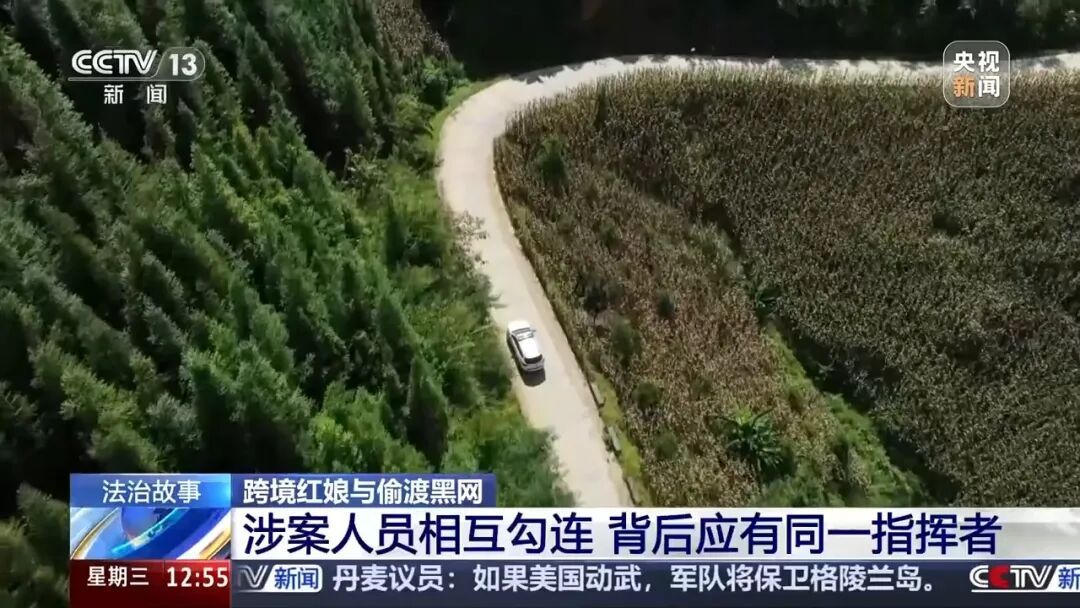 6名外籍女子非法入境，跨国婚介竟是偷渡黑产，案件覆盖多省