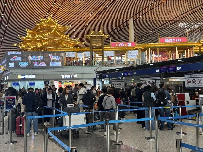 民航春运预计再创新高！北方看雪，南方避寒——