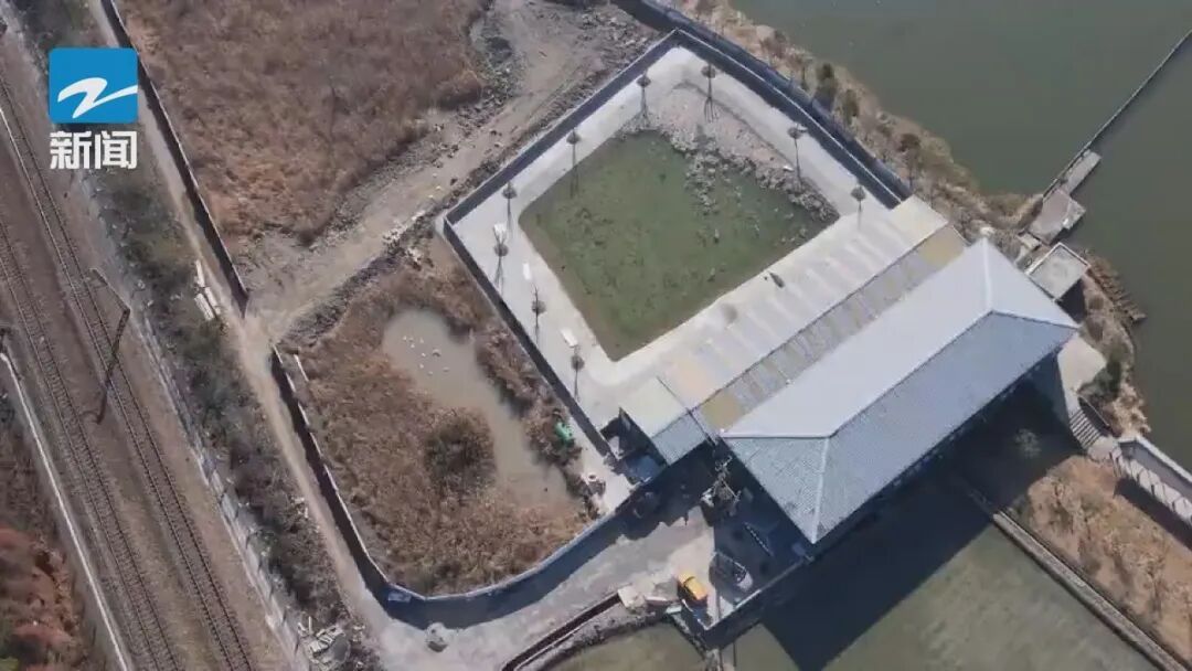 60元/斤起！年货上新，营养丰富…这种小众食材你敢吃吗？